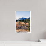 10 x 15″, Fine Art Glossy Tahoe Meadows Scenic Print