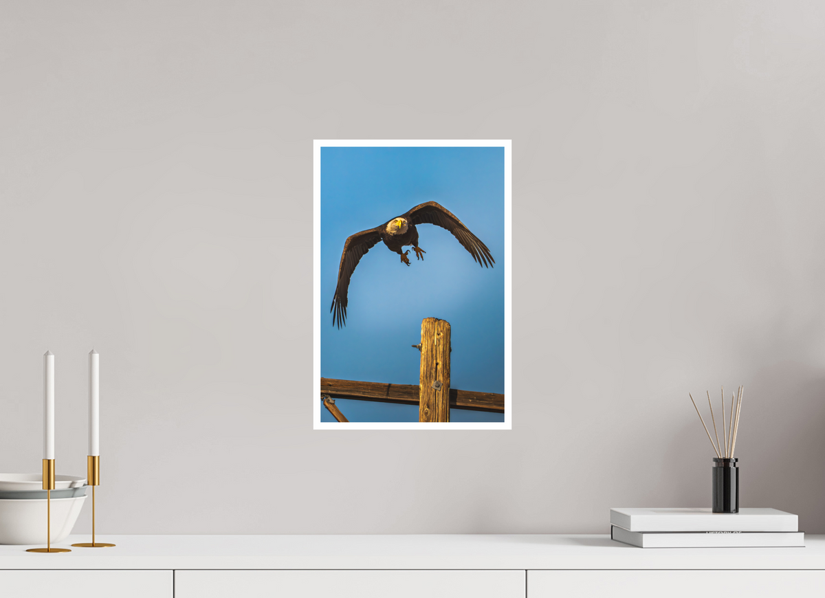 10 x 15″, Fine Art Glossy Final Approach