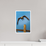 10 x 15″, Fine Art Glossy Final Approach