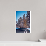 10 x 15″, Fine Art Glossy Winter Pine Road